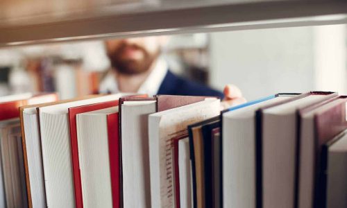 WordPress For Beginner